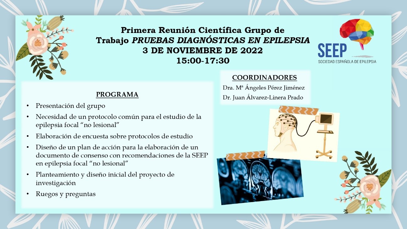 Primera reunion cientifica grupo de trabajo pruebas diagnosticas en epilepsia